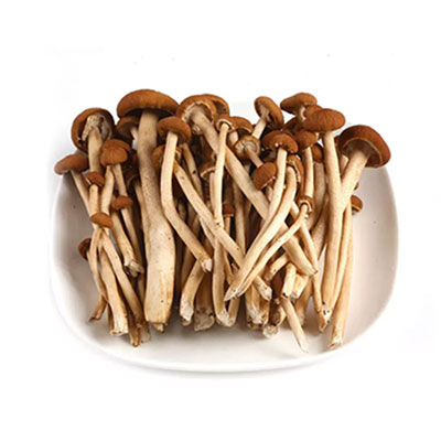 茶樹菇配送-粵崗蔬菜配送